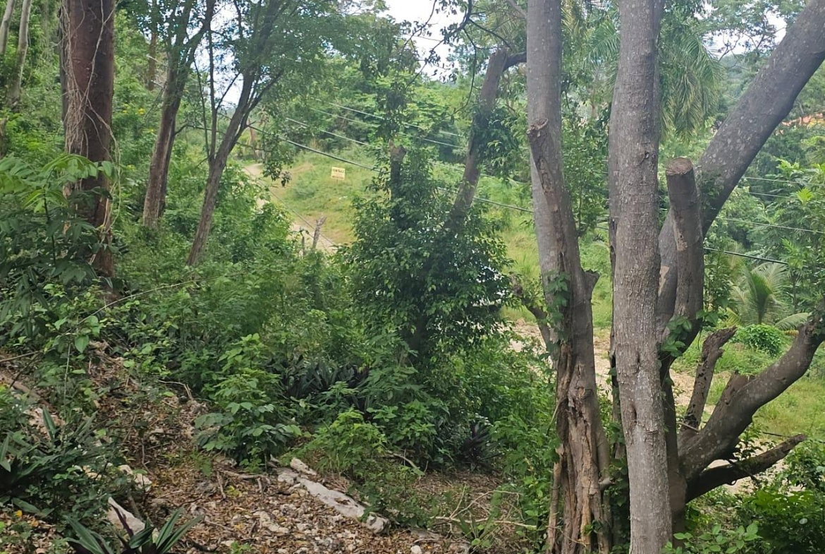 Eighth image of Wood Side Drive in Montego Bay, St. James, Jamaica - property is For Sale