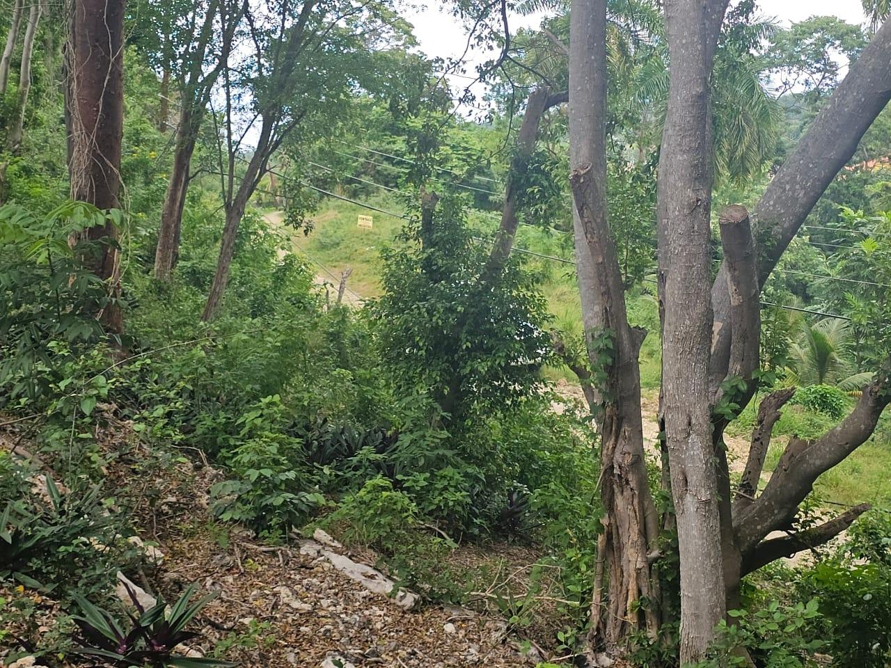 Eighth image of Wood Side Drive in Montego Bay, St. James, Jamaica - property is For Sale