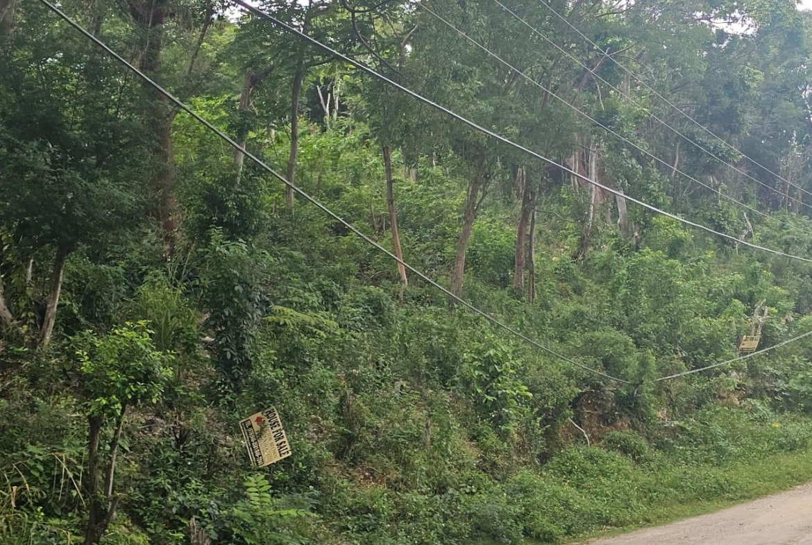 Ninth image of Wood Side Drive in Montego Bay, St. James, Jamaica - property is For Sale