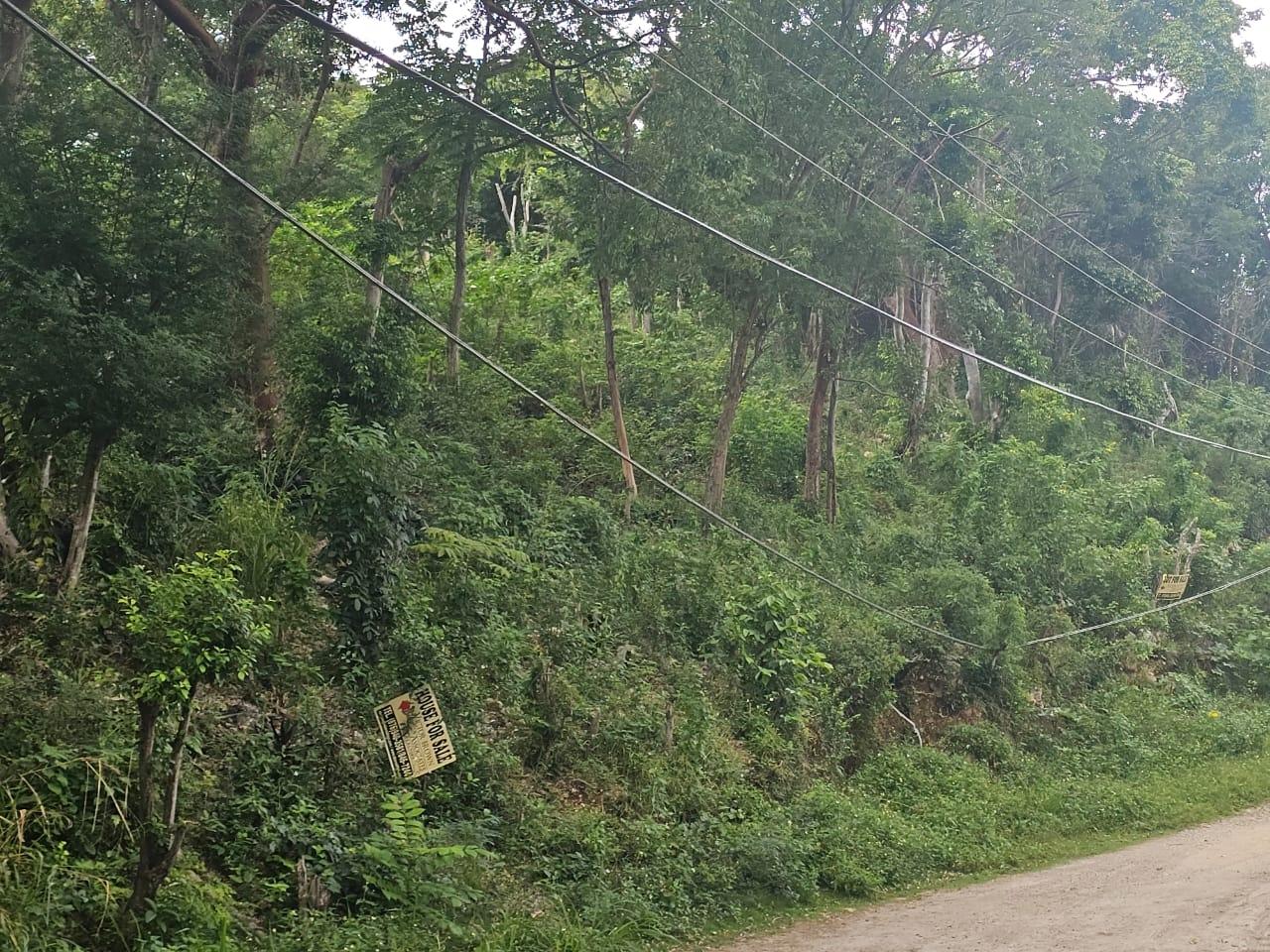 Ninth image of Wood Side Drive in Montego Bay, St. James, Jamaica - property is For Sale