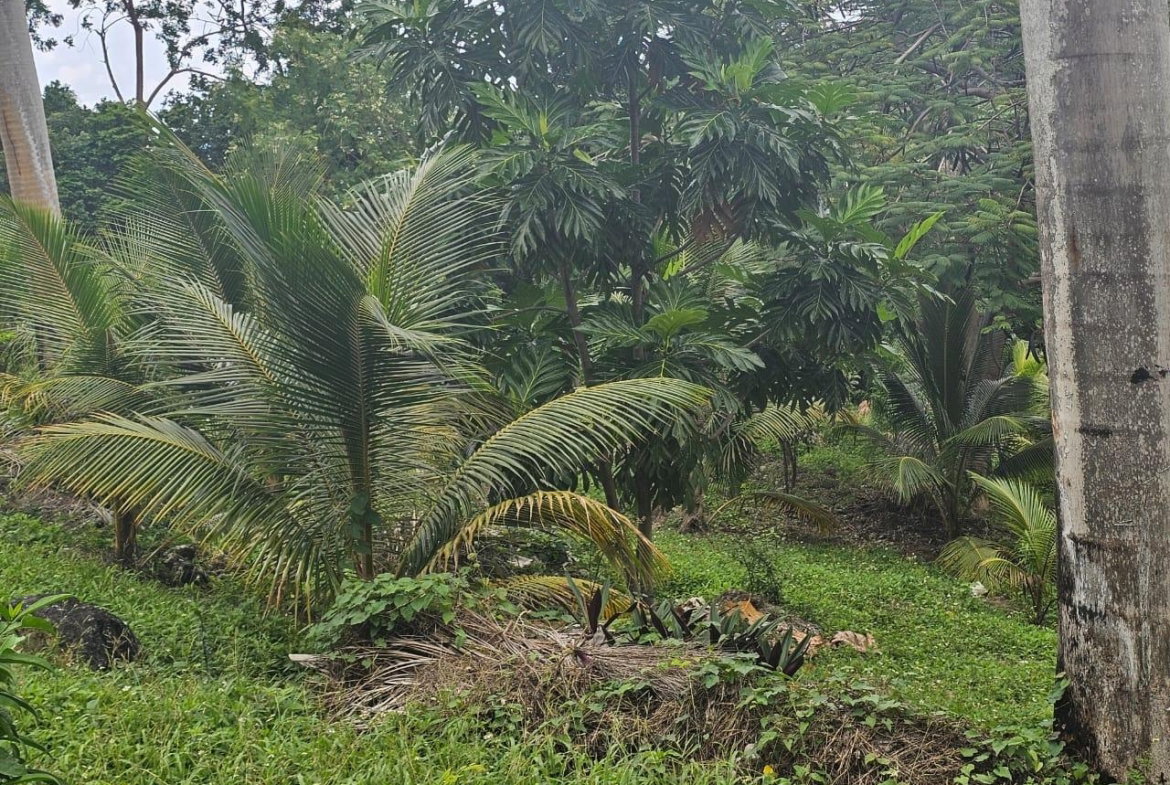 Third image of 267 Woodside Drive in Montego Bay, St. James, Jamaica - property is For Sale