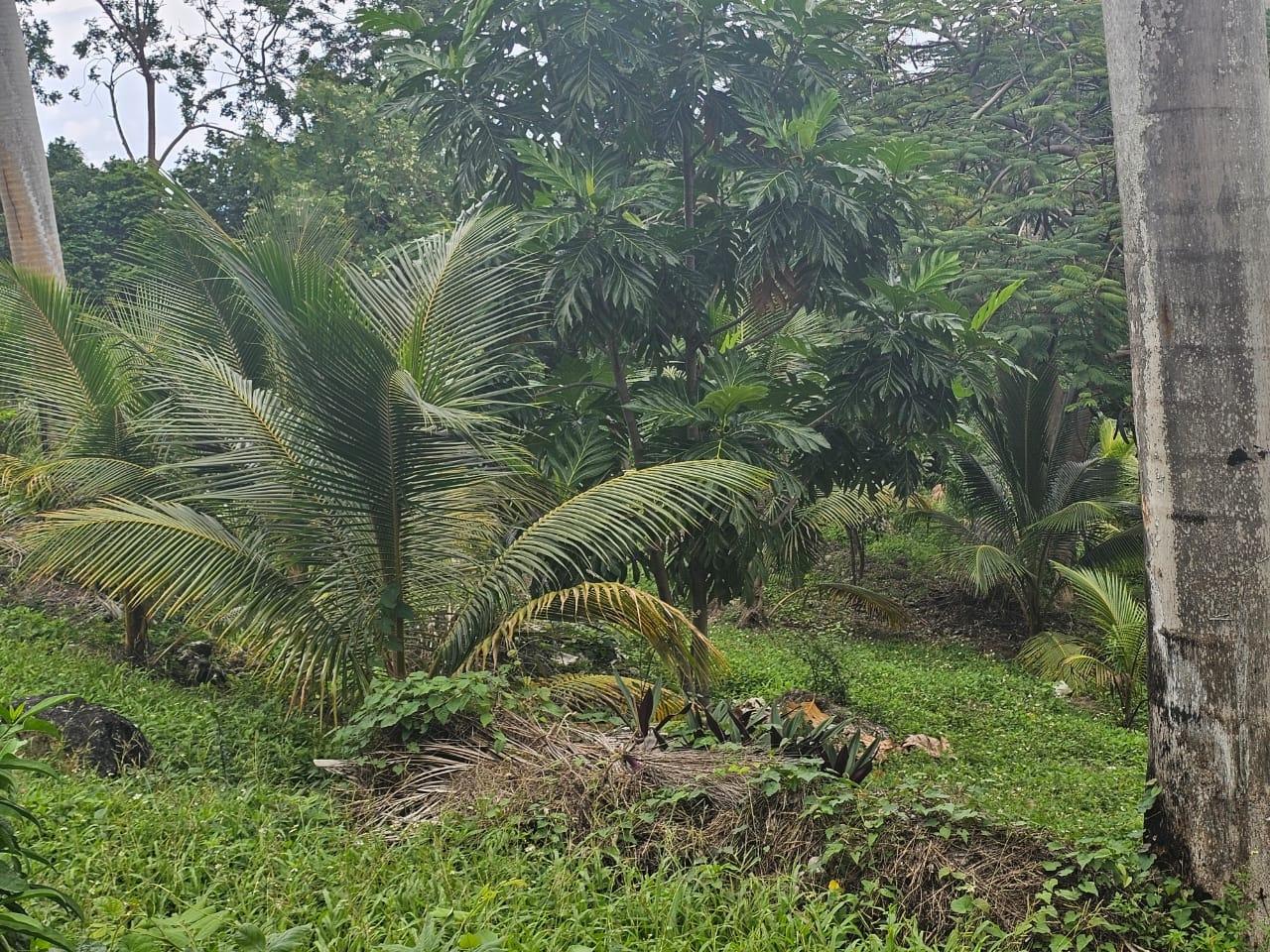 Third image of 267 Woodside Drive in Montego Bay, St. James, Jamaica - property is For Sale