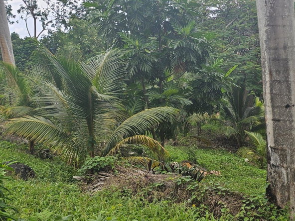Third image of 267 Woodside Drive in Montego Bay, St. James, Jamaica - property is For Sale