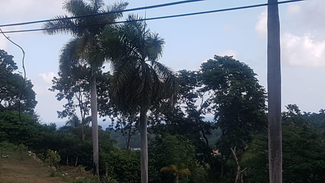 Fourth image of Wood Side Drive in Montego Bay, St. James, Jamaica - property is For Sale