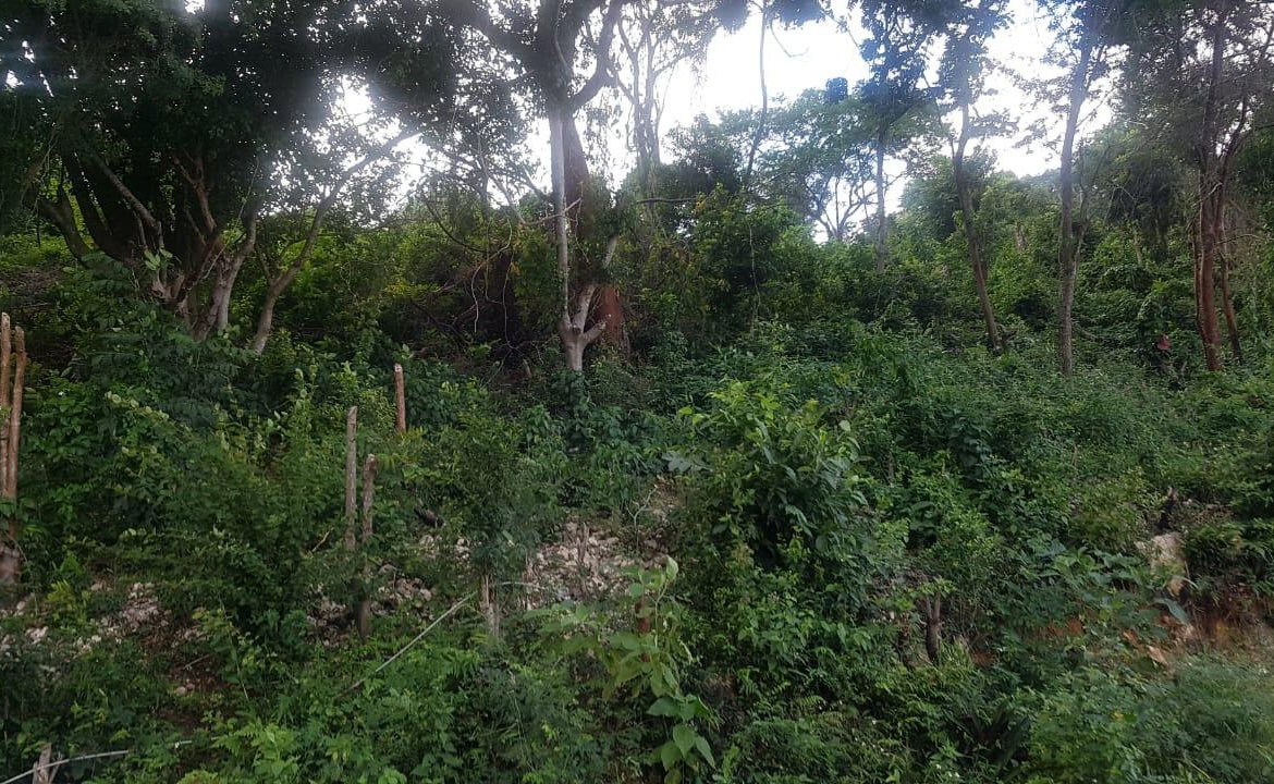 Fifth image of Wood Side Drive in Montego Bay, St. James, Jamaica - property is For Sale