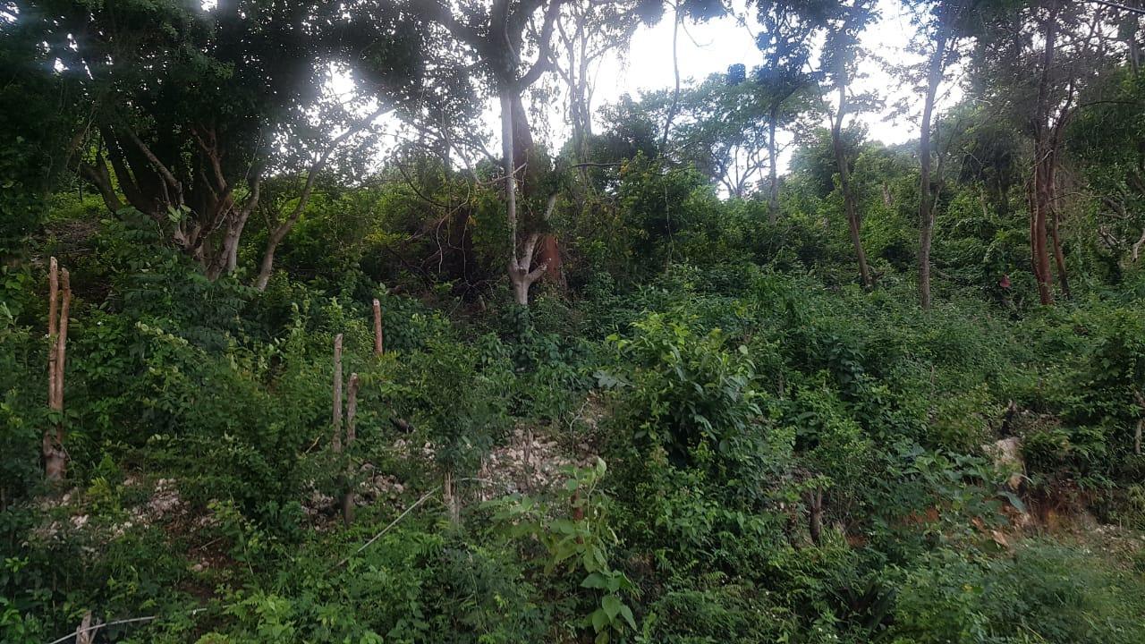Fifth image of Wood Side Drive in Montego Bay, St. James, Jamaica - property is For Sale