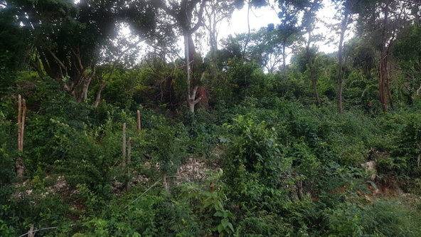 Fifth image of Wood Side Drive in Montego Bay, St. James, Jamaica - property is For Sale
