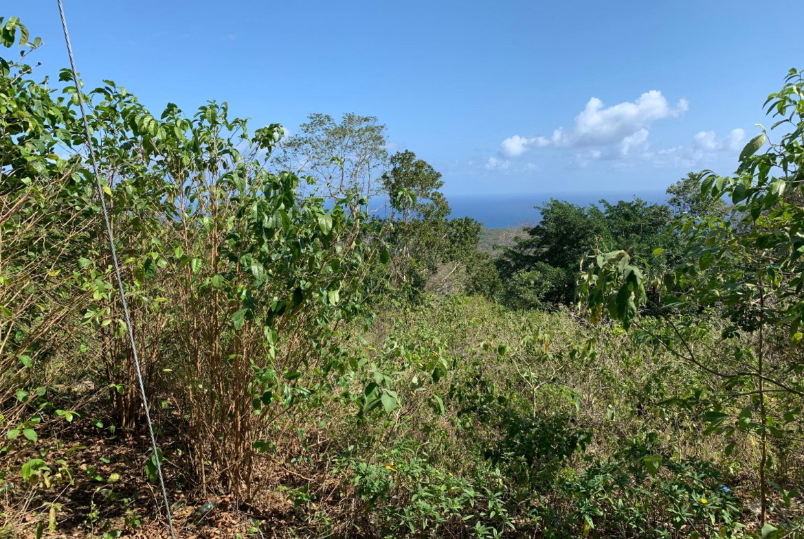 Second image of Lot 4 Arcadia in Arcadia Pen, Trelawny, Jamaica - property is For Sale