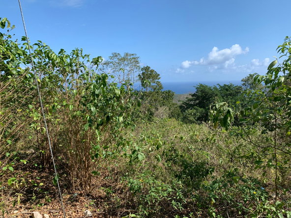 Second image of Lot 4 Arcadia in Arcadia Pen, Trelawny, Jamaica - property is For Sale