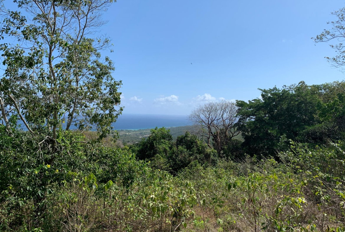 Twelfth image of Lot 4 Arcadia in Arcadia Pen, Trelawny, Jamaica - property is For Sale