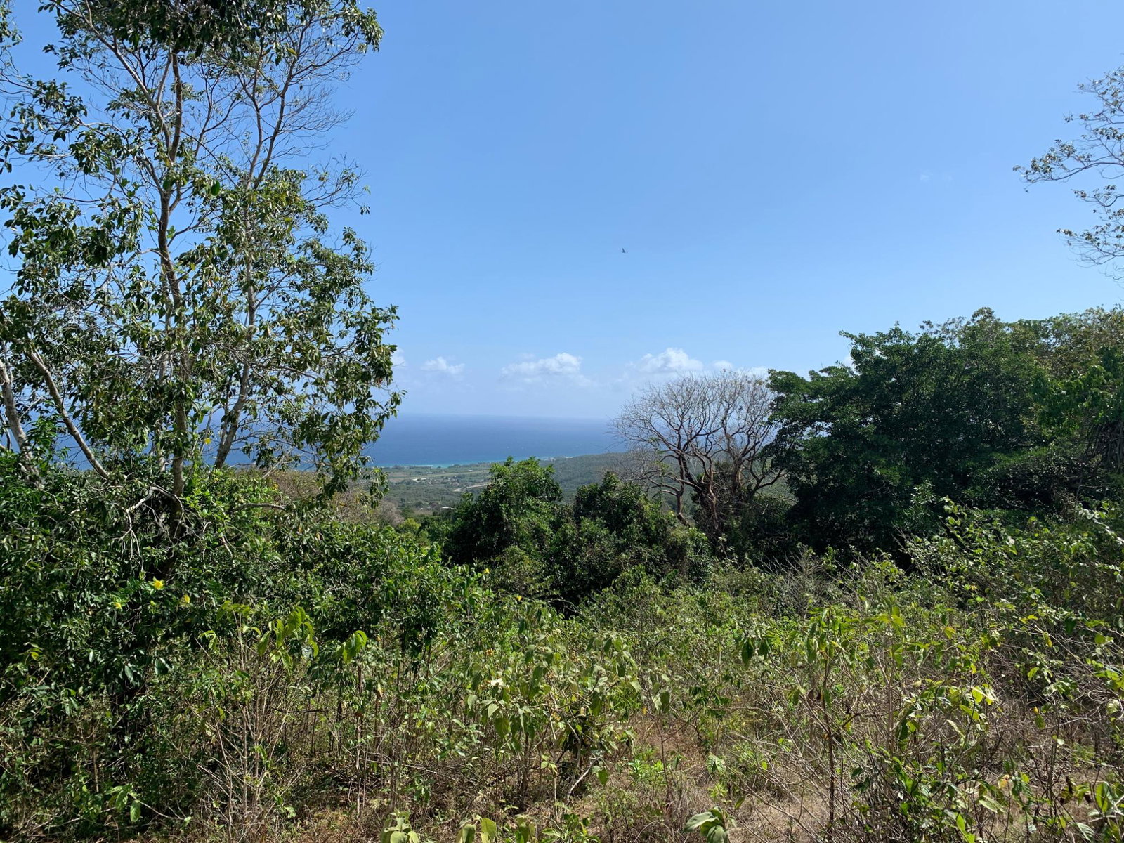 Twelfth image of Lot 4 Arcadia in Arcadia Pen, Trelawny, Jamaica - property is For Sale