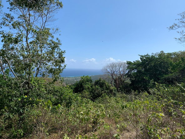 Twelfth image of Lot 4 Arcadia in Arcadia Pen, Trelawny, Jamaica - property is For Sale