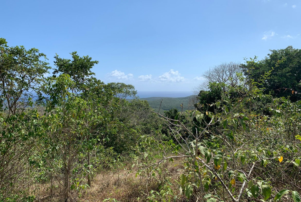 Thirteenth image of Lot 4 Arcadia in Arcadia Pen, Trelawny, Jamaica - property is For Sale