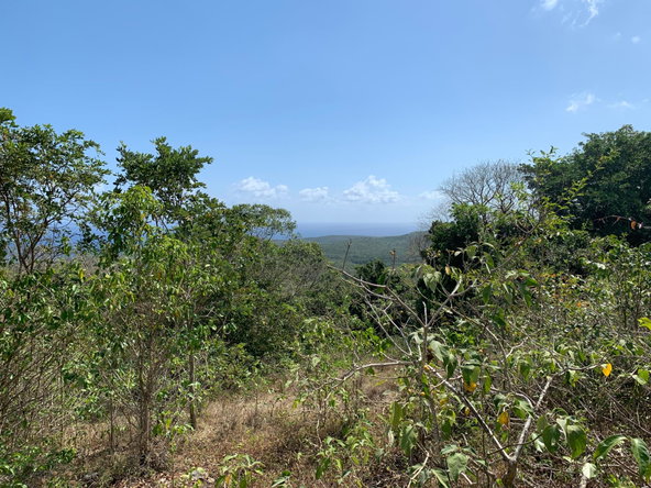 Thirteenth image of Lot 4 Arcadia in Arcadia Pen, Trelawny, Jamaica - property is For Sale