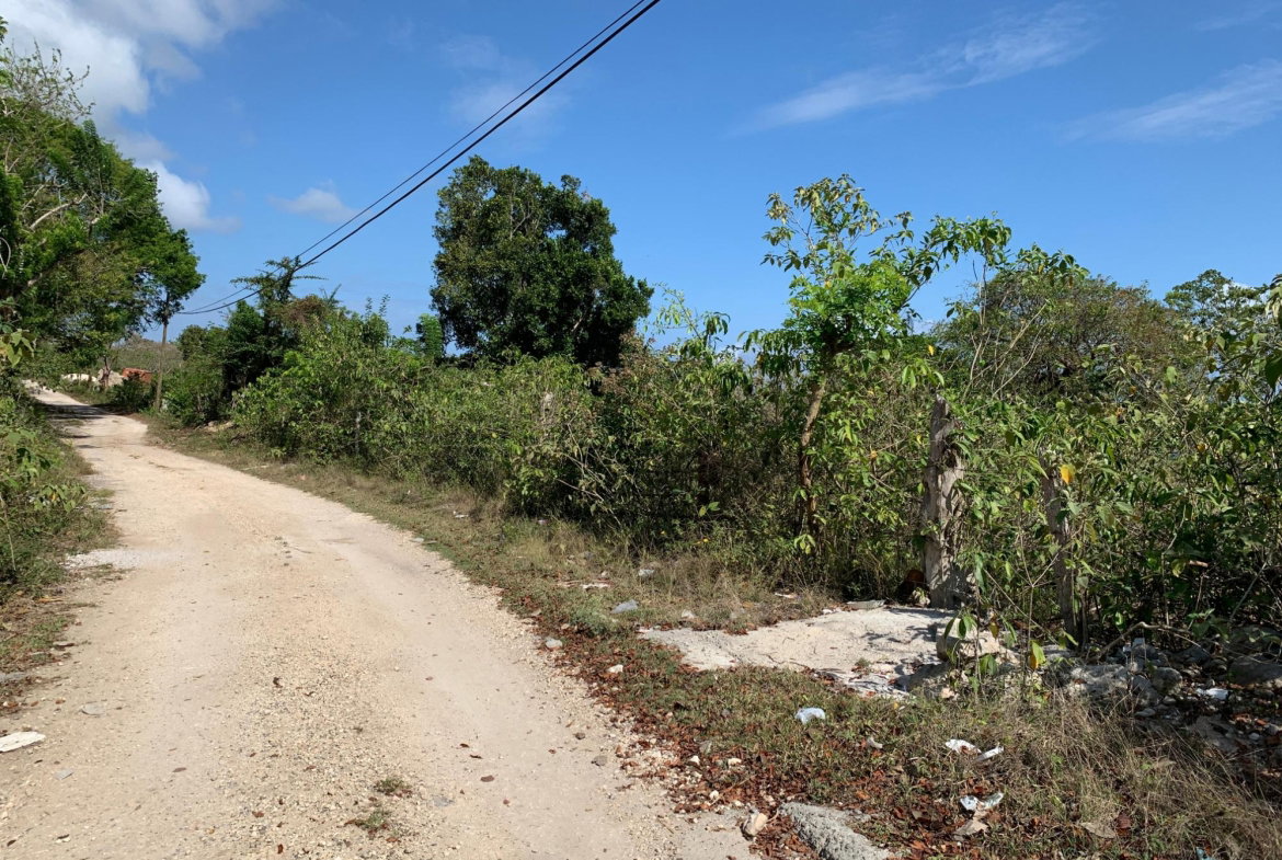 Fourteenth image of Lot 4 Arcadia in Arcadia Pen, Trelawny, Jamaica - property is For Sale