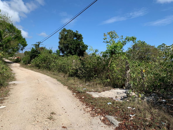 Fourteenth image of Lot 4 Arcadia in Arcadia Pen, Trelawny, Jamaica - property is For Sale