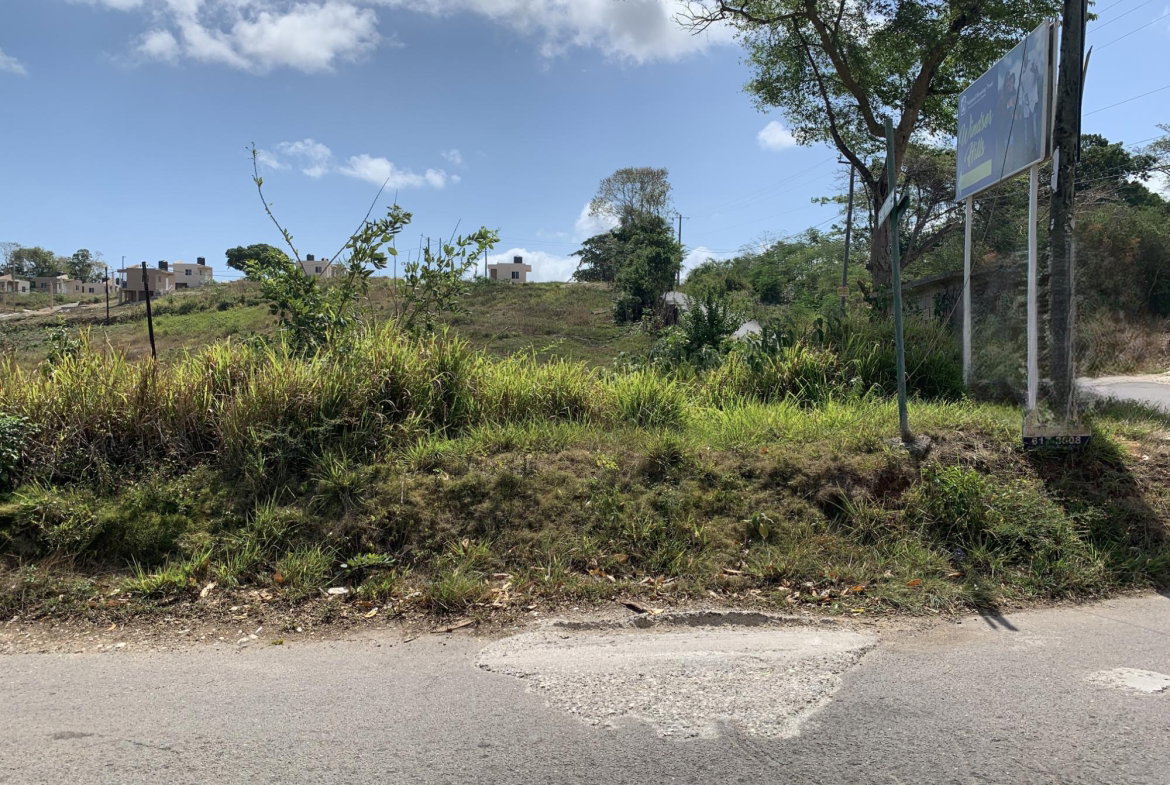 Sixteenth image of Lot 4 Arcadia in Arcadia Pen, Trelawny, Jamaica - property is For Sale