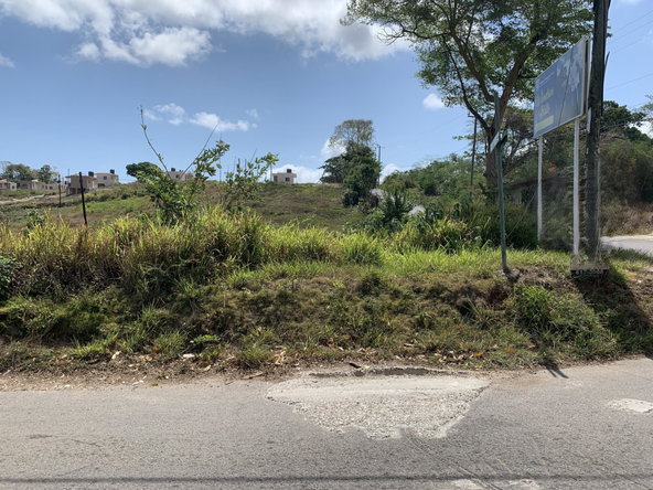 Sixteenth image of Lot 4 Arcadia in Arcadia Pen, Trelawny, Jamaica - property is For Sale