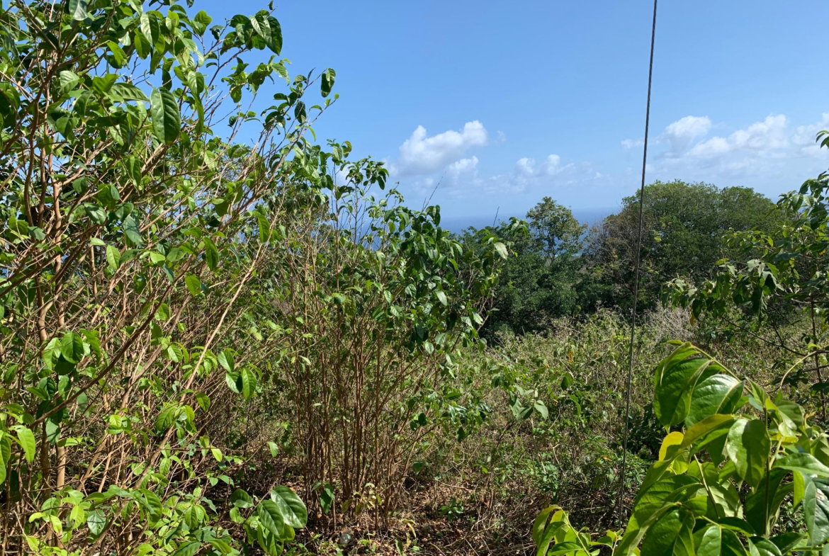 Third image of Lot 4 Arcadia in Arcadia Pen, Trelawny, Jamaica - property is For Sale