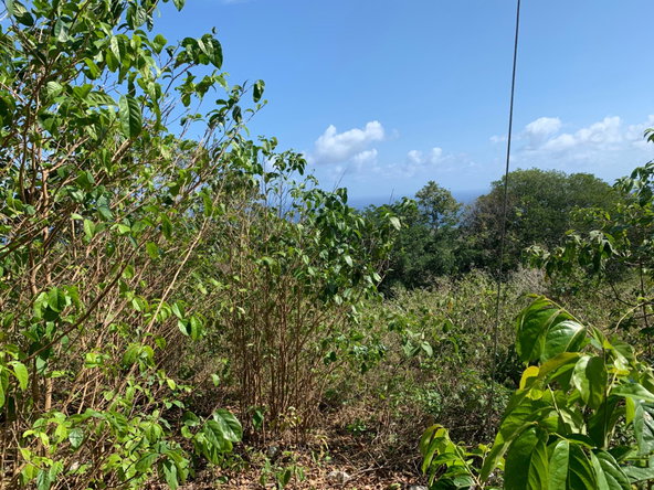 Third image of Lot 4 Arcadia in Arcadia Pen, Trelawny, Jamaica - property is For Sale