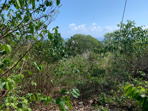 Fourth image of Lot 4 Arcadia in Arcadia Pen, Trelawny, Jamaica - property is For Sale