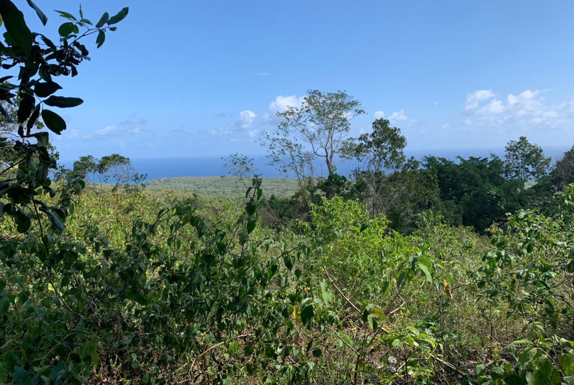 Fifth image of Lot 4 Arcadia in Arcadia Pen, Trelawny, Jamaica - property is For Sale