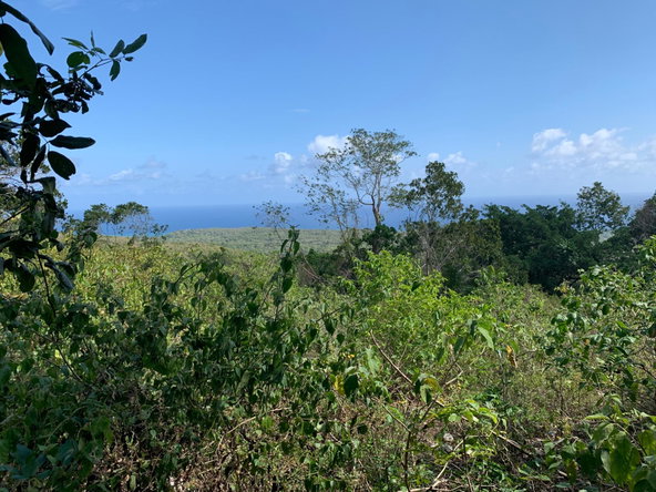 Fifth image of Lot 4 Arcadia in Arcadia Pen, Trelawny, Jamaica - property is For Sale