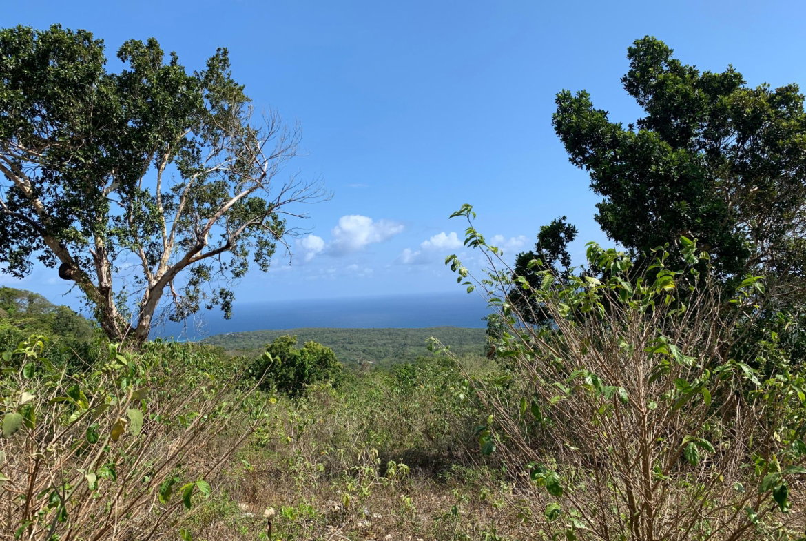 Sixth image of Lot 4 Arcadia in Arcadia Pen, Trelawny, Jamaica - property is For Sale