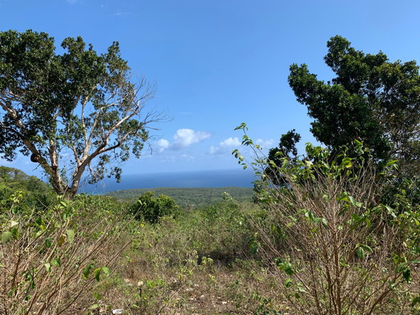 Sixth image of Lot 4 Arcadia in Arcadia Pen, Trelawny, Jamaica - property is For Sale