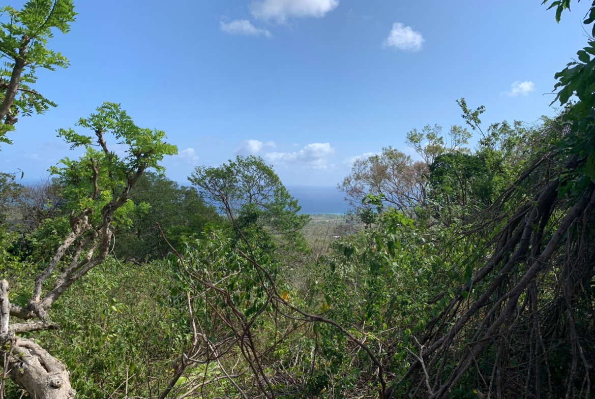 Seventh image of Lot 4 Arcadia in Arcadia Pen, Trelawny, Jamaica - property is For Sale