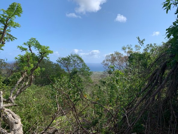 Seventh image of Lot 4 Arcadia in Arcadia Pen, Trelawny, Jamaica - property is For Sale