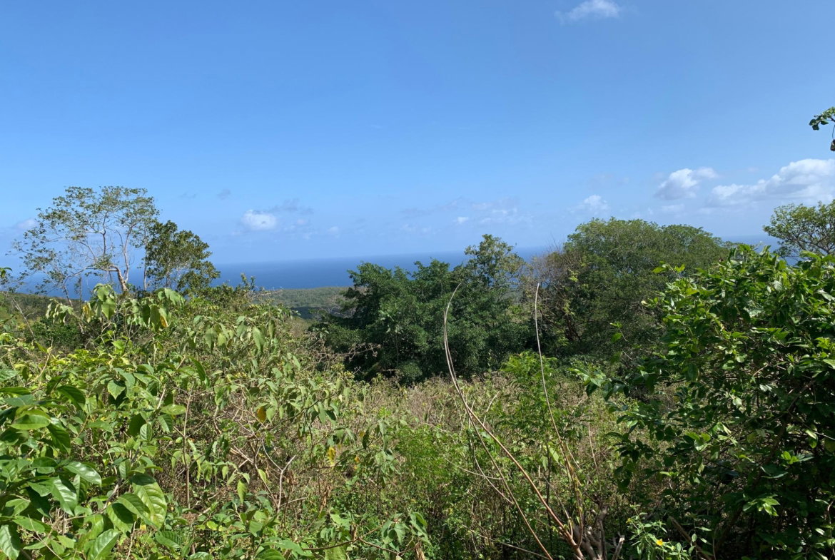 Eighth image of Lot 4 Arcadia in Arcadia Pen, Trelawny, Jamaica - property is For Sale