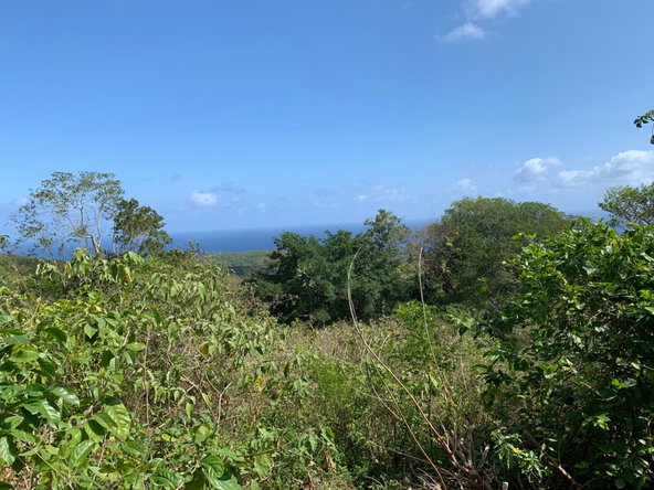 Eighth image of Lot 4 Arcadia in Arcadia Pen, Trelawny, Jamaica - property is For Sale