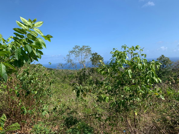 Ninth image of Lot 4 Arcadia in Arcadia Pen, Trelawny, Jamaica - property is For Sale