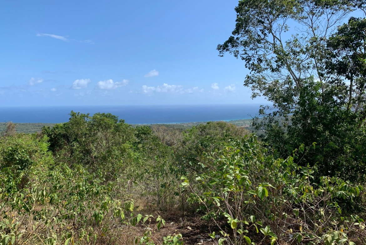 Tenth image of Lot 4 Arcadia in Arcadia Pen, Trelawny, Jamaica - property is For Sale