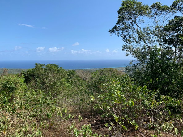 Tenth image of Lot 4 Arcadia in Arcadia Pen, Trelawny, Jamaica - property is For Sale