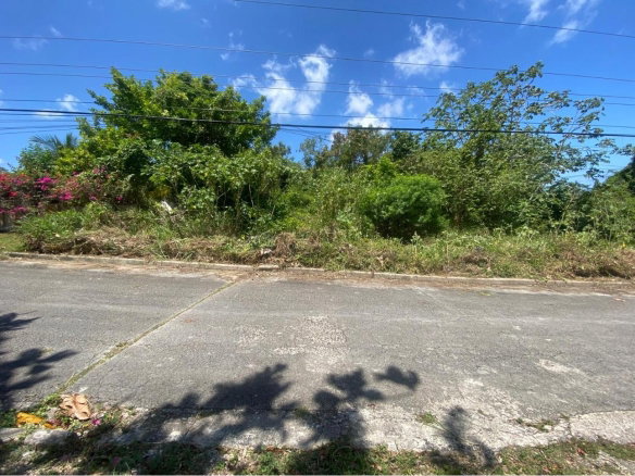 First image of 422 Ferguson Avenue in Ironshore, St. James, Jamaica - property is For Sale