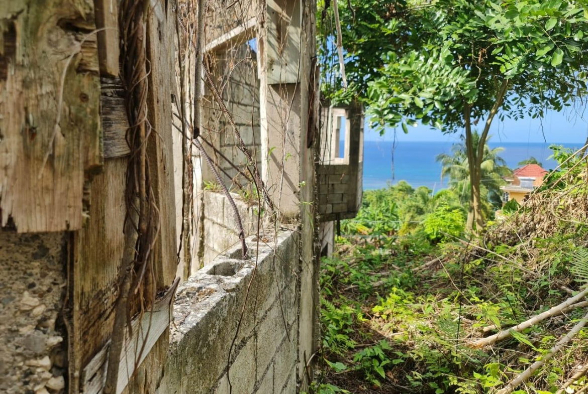 Fourteenth image of Hopewell Orchard, Hanover in Hopewell, Hanover, Jamaica - property is For Sale