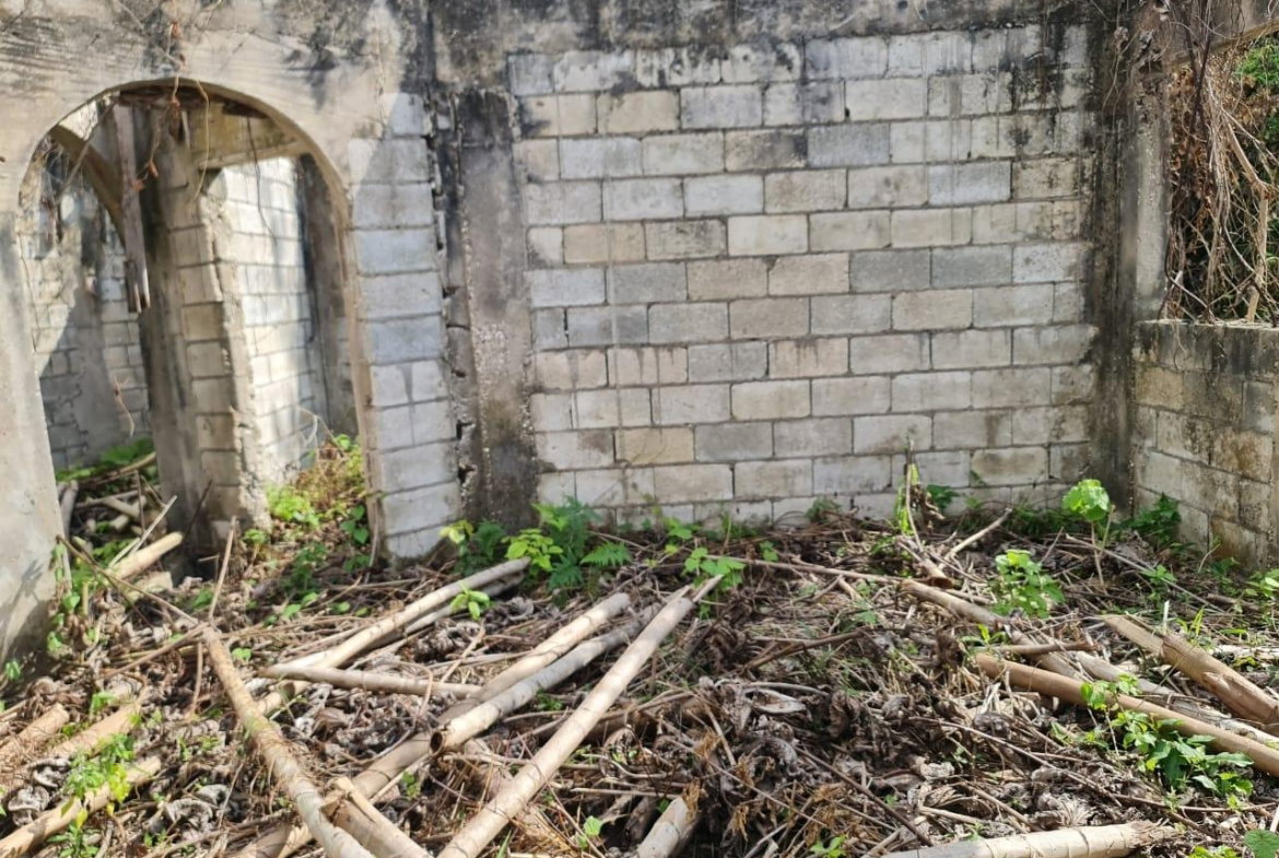 Sixth image of Hopewell Orchard, Hanover in Hopewell, Hanover, Jamaica - property is For Sale