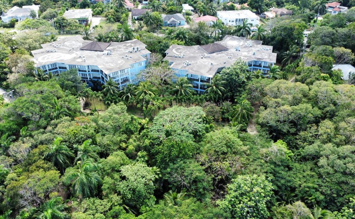 Seventeenth image of 7e- Tranquility Cove in Tower Isle, St. Mary, Jamaica - property is For Rent