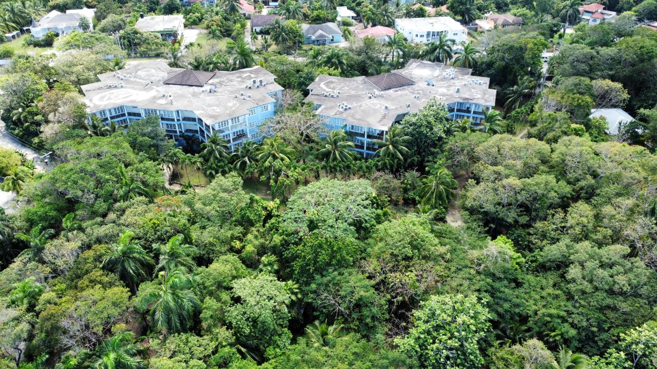 Oceanfront-Condo-for-Rent-in-Tranquility-Cove-Jamaica-Coastal-Luxury Seventeenth image of 7e- Tranquility Cove in Tower Isle, St. Mary, Jamaica - property is For Rent