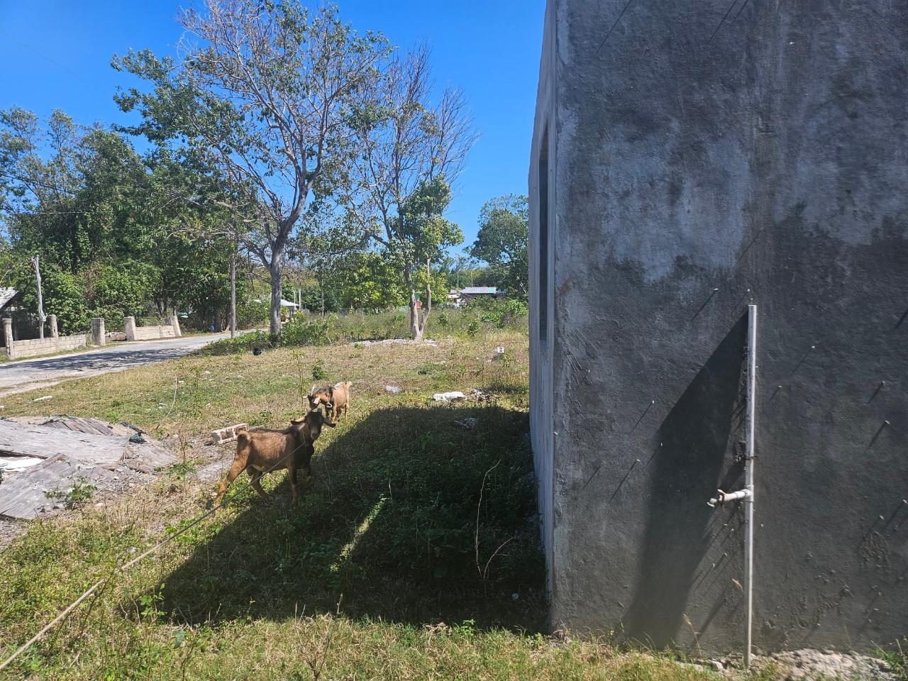 Sixteenth image of Little Bay in Little Bay, Westmoreland, Jamaica - property is For Sale