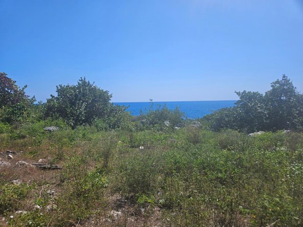 Fifth image of Little Bay in Little Bay, Westmoreland, Jamaica - property is For Sale