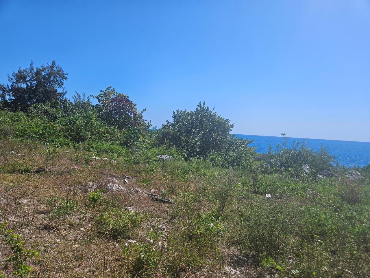 Sixth image of Little Bay in Little Bay, Westmoreland, Jamaica - property is For Sale