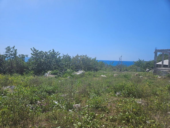 Seventh image of Little Bay in Little Bay, Westmoreland, Jamaica - property is For Sale