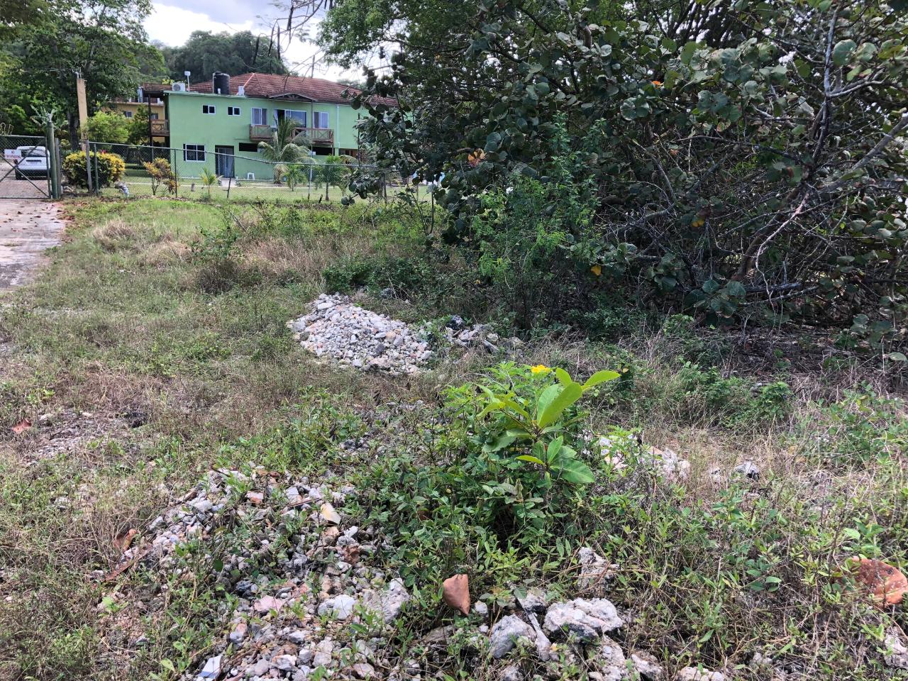 Second image of Lot 2 Pedro Pen Sea Coast in Pedro Pen, Hanover, Jamaica - property is For Sale