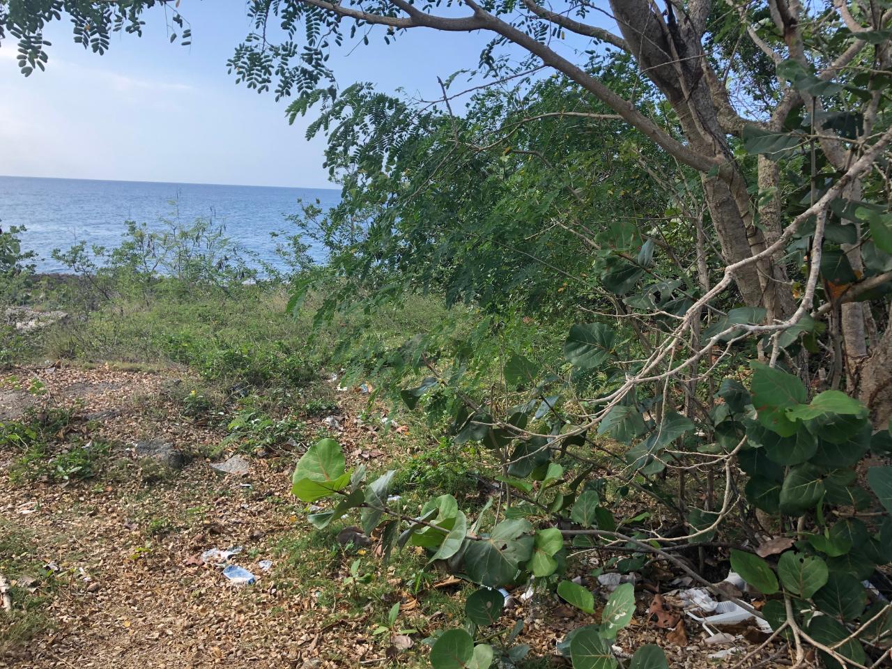 Fourth image of Lot 2 Pedro Pen Sea Coast in Pedro Pen, Hanover, Jamaica - property is For Sale