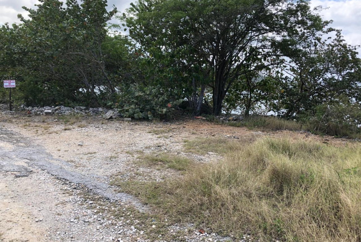 Seventh image of Lot 2 Pedro Pen Sea Coast in Pedro Pen, Hanover, Jamaica - property is For Sale