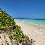 First image of 330 Ridge Way in Duncans, Trelawny, Jamaica - property is For Sale