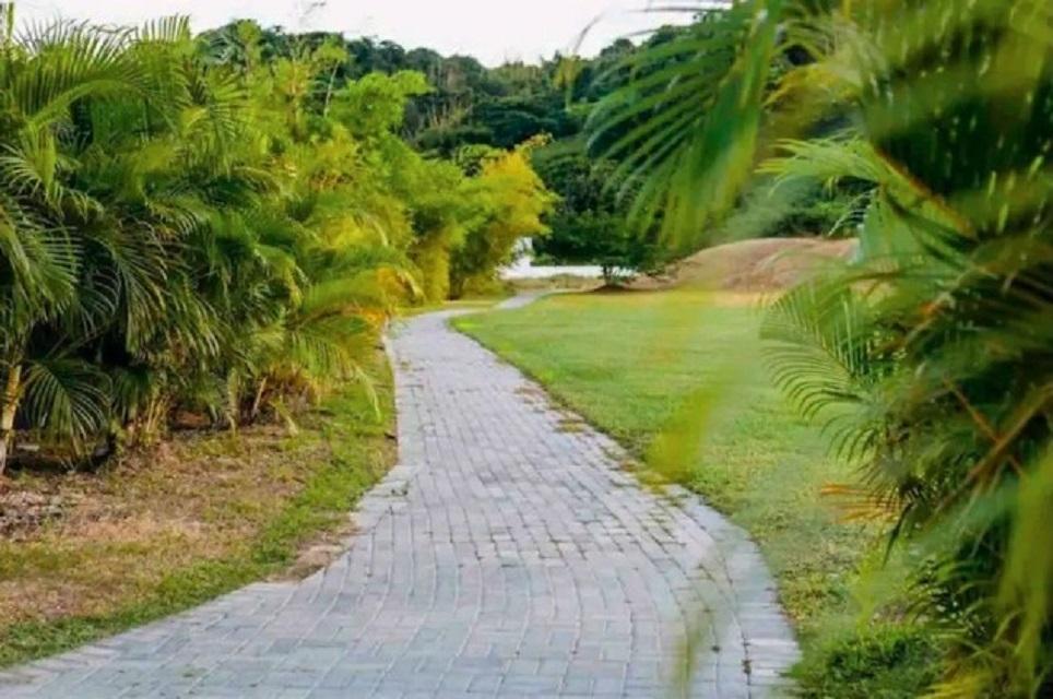 Fourteenth image of 437 Seashell Drive, Oceanpoin in Hopewell, Hanover, Jamaica - property is For Rent